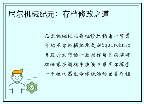尼尔机械纪元：存档修改之道